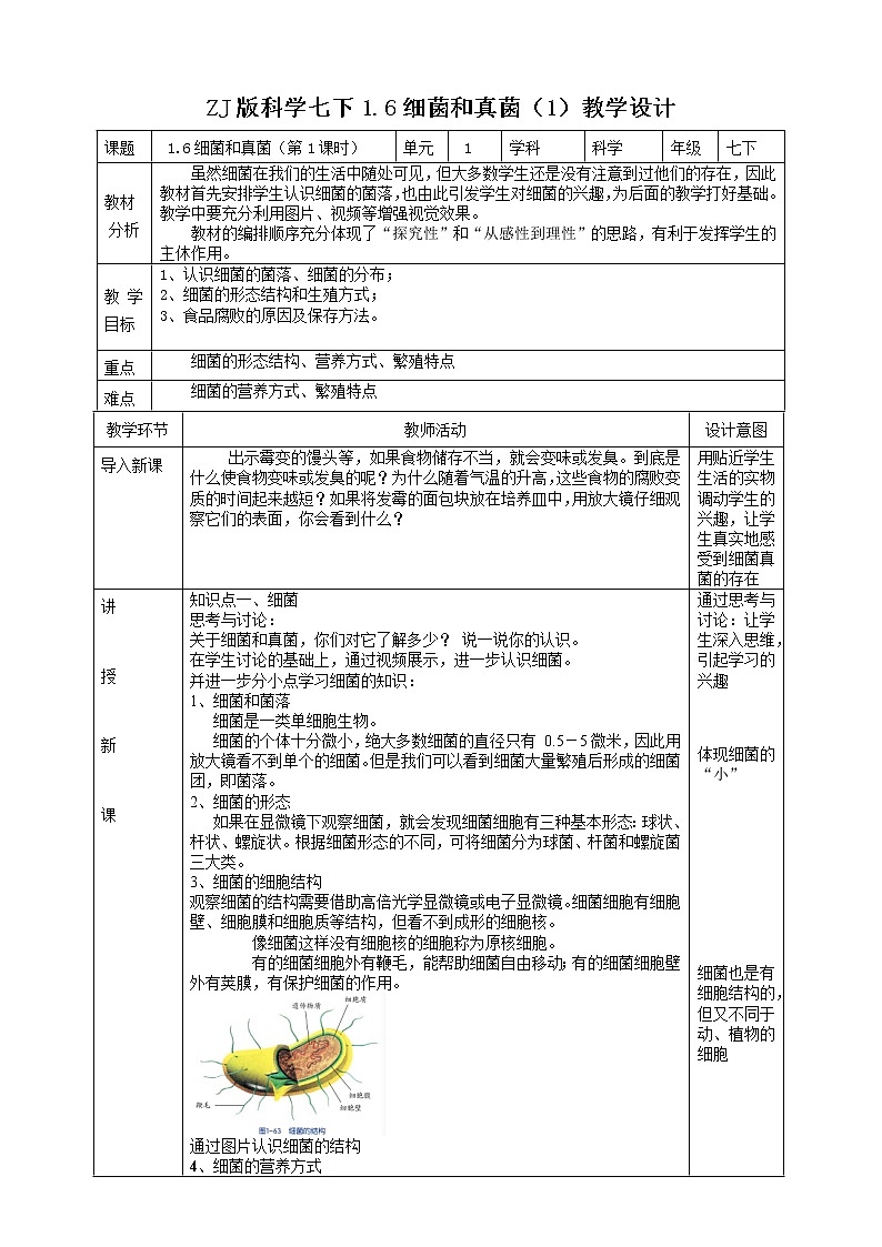 1.6细菌和真菌的繁殖 第1课时 课件+教案+学案01