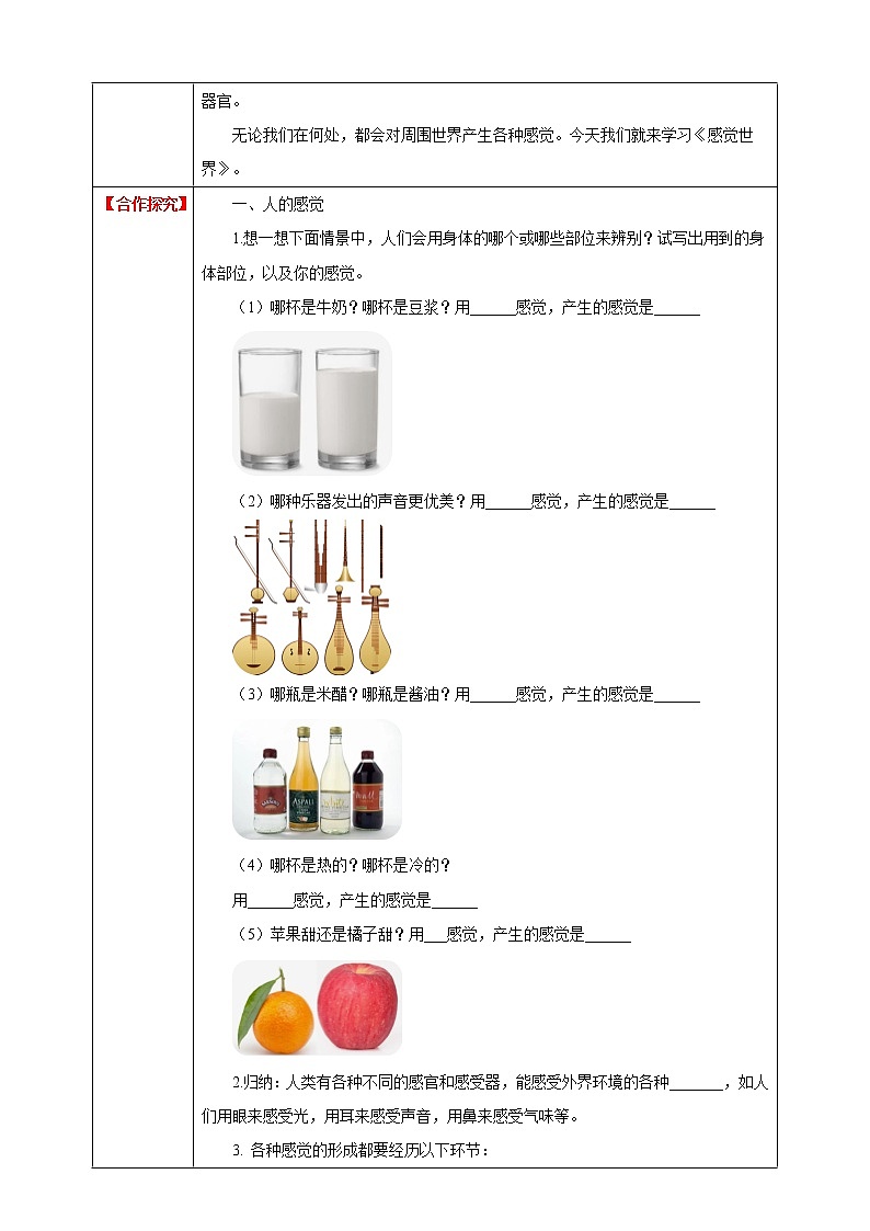 2.1感觉世界 第1课时 课件+教案+学案02