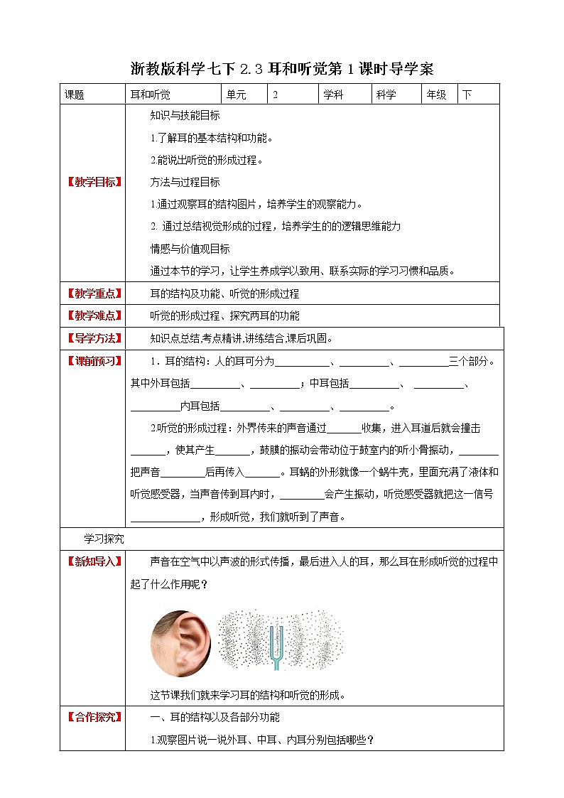 2.3耳和听觉 第1课时 课件+教案+学案01