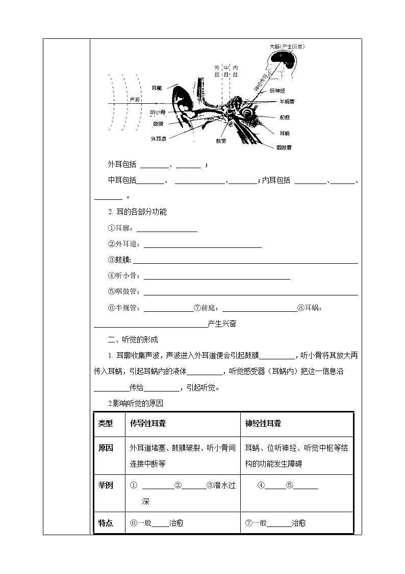 2.3耳和听觉 第1课时 课件+教案+学案02