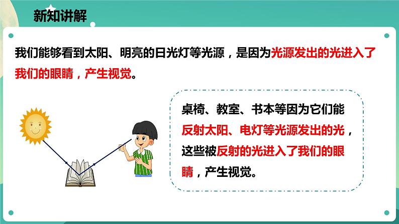 2.5光的反射和折射 第1课时 课件+教案+学案06