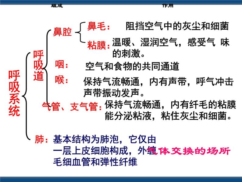 3.5  生物的呼吸和呼吸作用（课件 ）06