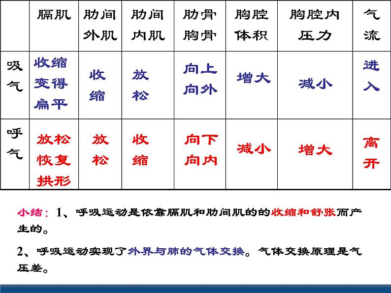 3.5  生物的呼吸和呼吸作用（课件 ）第8页