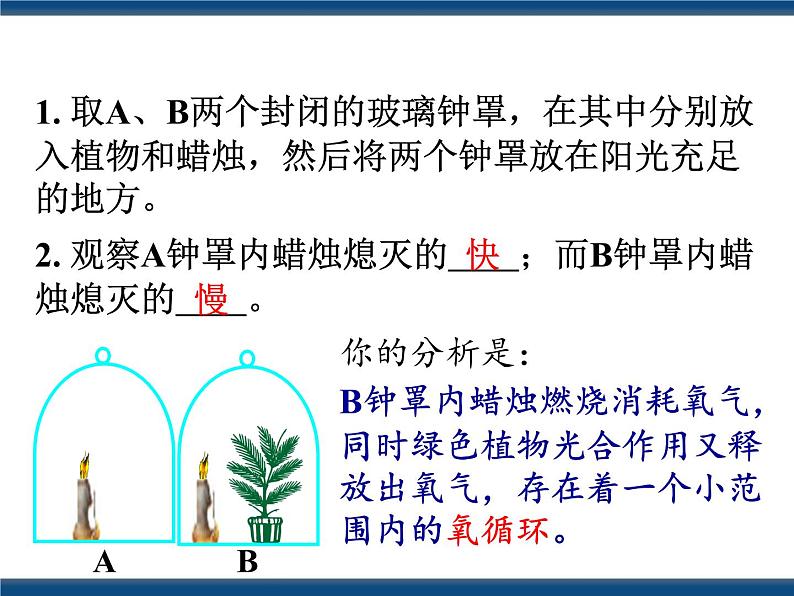 3.7自然界中的氧循环和碳循环（课件+视频 ）04