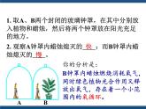 3.7自然界中的氧循环和碳循环（课件+视频 ）