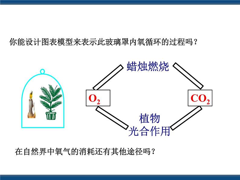 3.7自然界中的氧循环和碳循环（课件+视频 ）05