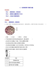 科学浙教版第3节 植物的根与物质吸收课后测评