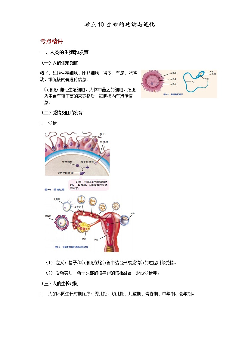 备战2023年中考科学二轮专题导练 考点10 生命的延续与进化01