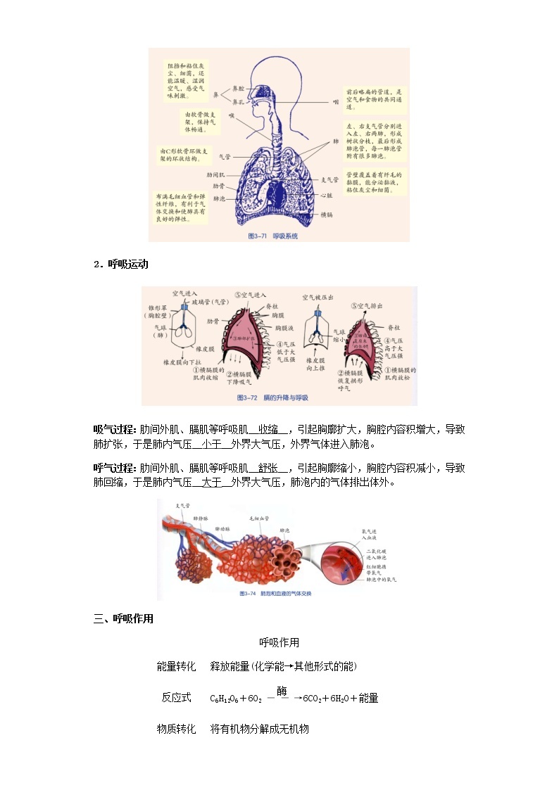 备战2023年中考科学二轮专题导练  考点11 植物的新陈代谢02