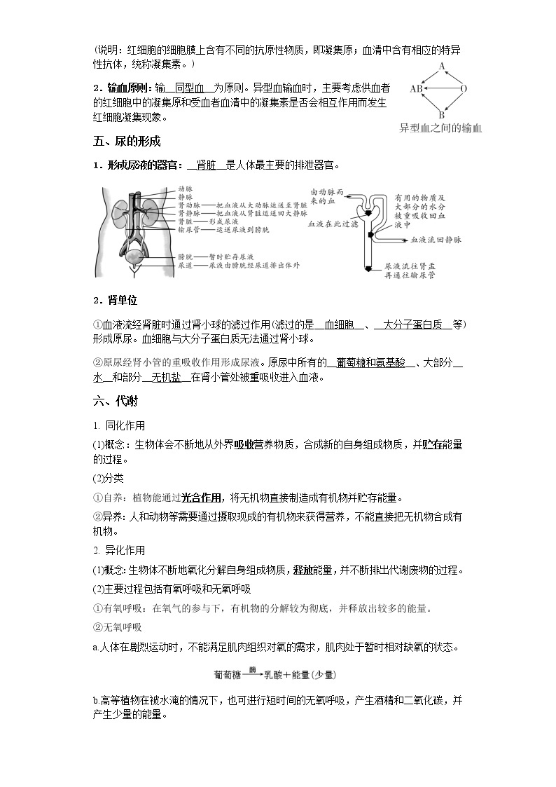 备战2023年中考科学二轮专题导练  考点13 人体的新陈代谢03