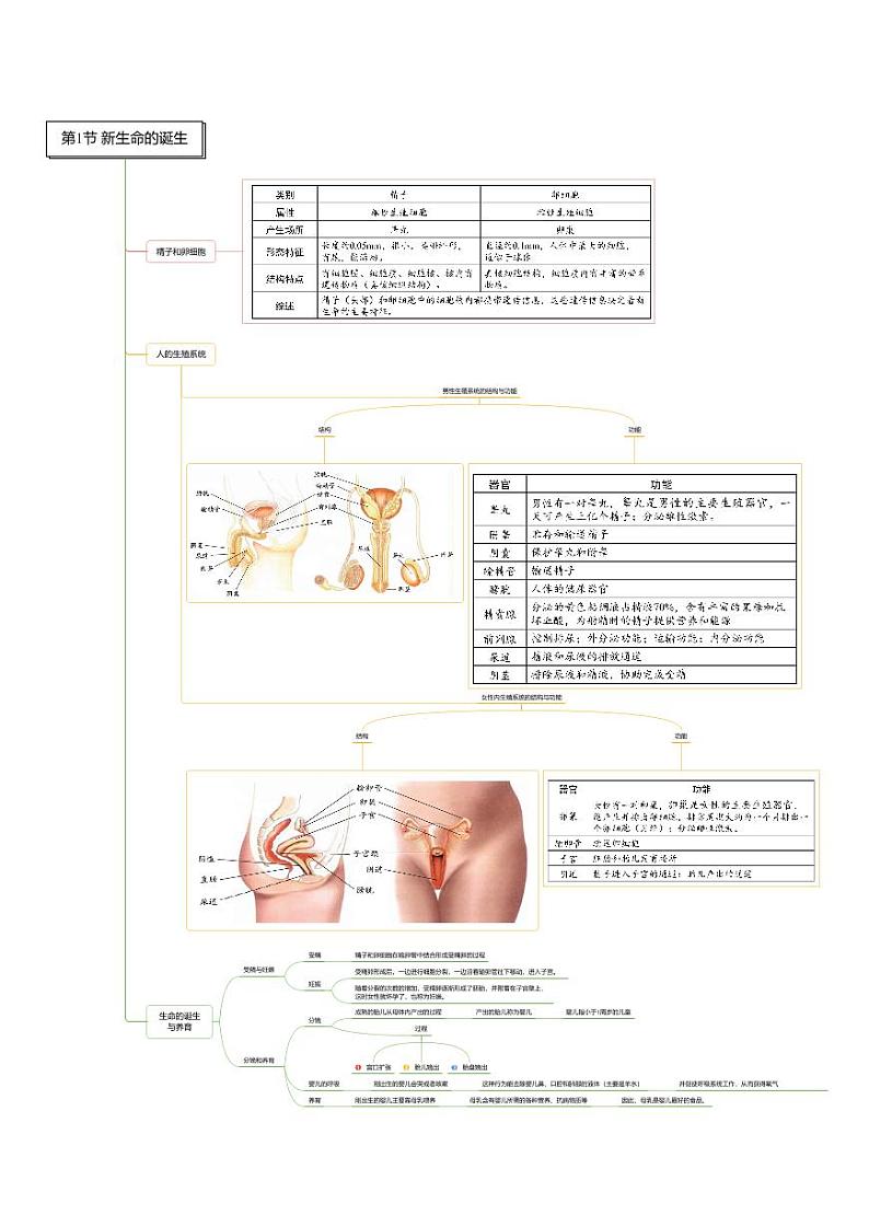 第01章 代代相传的生命-七年级科学章节知识框架思维导图（浙教版）下册第1页