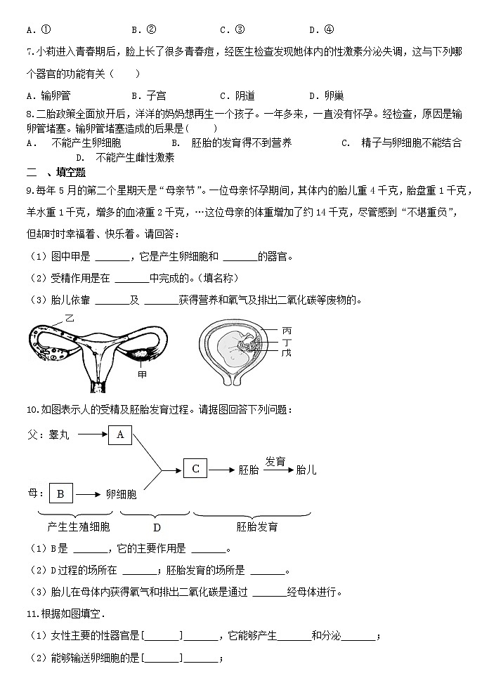 2023年七年级下册浙教版科学《1.1新生命的诞生》 试卷02