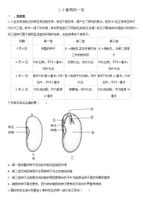 浙教版七年级下册第4节 植物的一生课堂检测