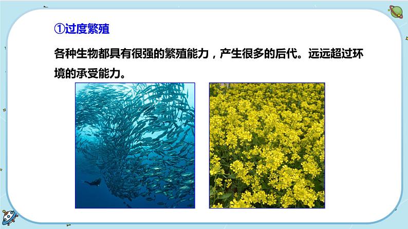 1.4 生物的进化（第2课时）（课件PPT）03