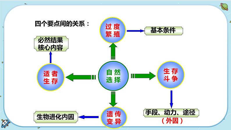 1.4 生物的进化（第2课时）（课件PPT）06