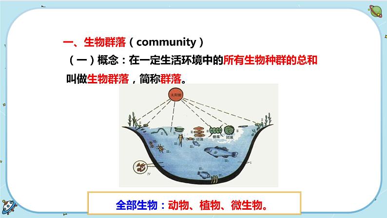 2.3 生物群落（课件PPT）06