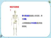 3.5  人的运动系统和保健（课件PPT）