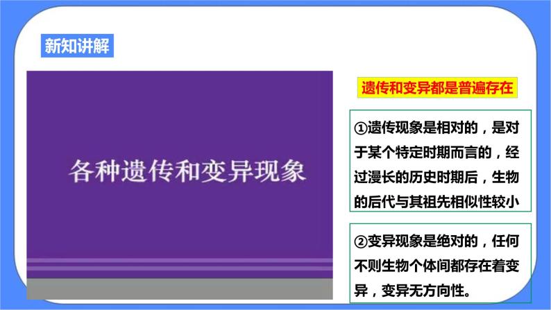 1.5《遗传与进化 第1课时》PPT课件+教案+练习+素材 浙教版九年级科学下册06