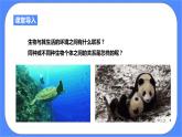 2.1《生物与环境的相互关系》PPT课件+教案+练习+素材 浙教版九年级科学下册