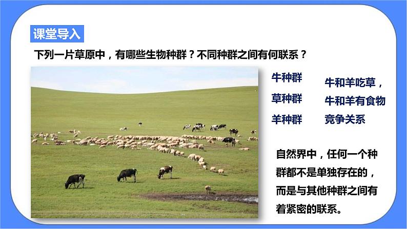 2.3《生物群落》PPT课件+教案+练习+素材 浙教版九年级科学下册02