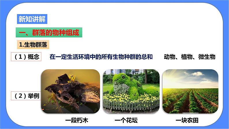 2.3《生物群落》PPT课件+教案+练习+素材 浙教版九年级科学下册03