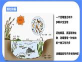 2.3《生物群落》PPT课件+教案+练习+素材 浙教版九年级科学下册