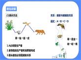 2.4《生态系统的结构和功能 第2课时》PPT课件+教案+练习+素材 浙教版九年级科学下册