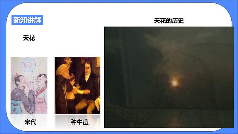 3.3《身体的防卫 第2课时》PPT课件+教案+练习 浙教版九年级科学下册04