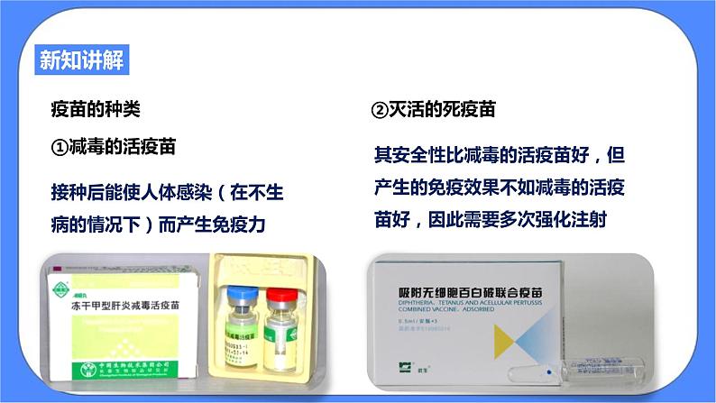 3.3《身体的防卫 第2课时》PPT课件+教案+练习 浙教版九年级科学下册06