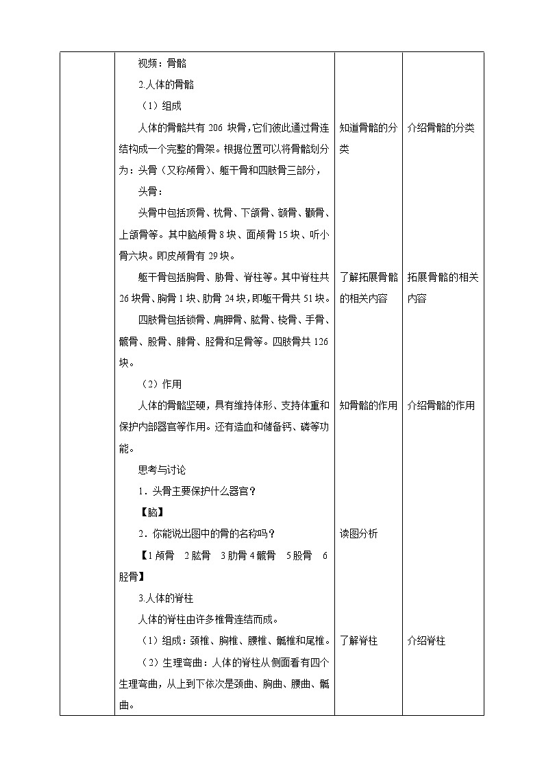 3.5《人的运动系统和保健 第1课时》PPT课件+教案+练习 浙教版九年级科学下册02