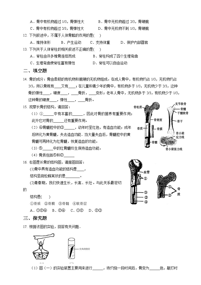 3.5《人的运动系统和保健 第1课时》PPT课件+教案+练习 浙教版九年级科学下册02