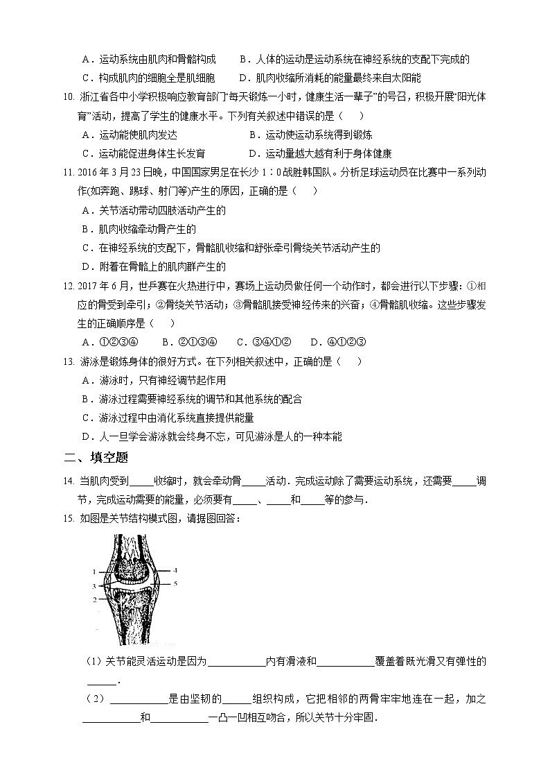 3.5《人的运动系统和保健 第2课时》PPT课件+教案+练习 浙教版九年级科学下册02