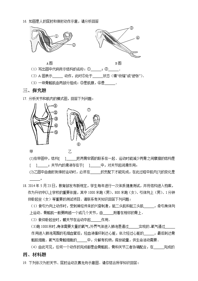 3.5《人的运动系统和保健 第2课时》PPT课件+教案+练习 浙教版九年级科学下册03