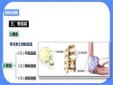 3.5《人的运动系统和保健 第2课时》PPT课件+教案+练习 浙教版九年级科学下册