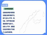 4.3《低碳生活》PPT课件+教案+练习 浙教版九年级科学下册