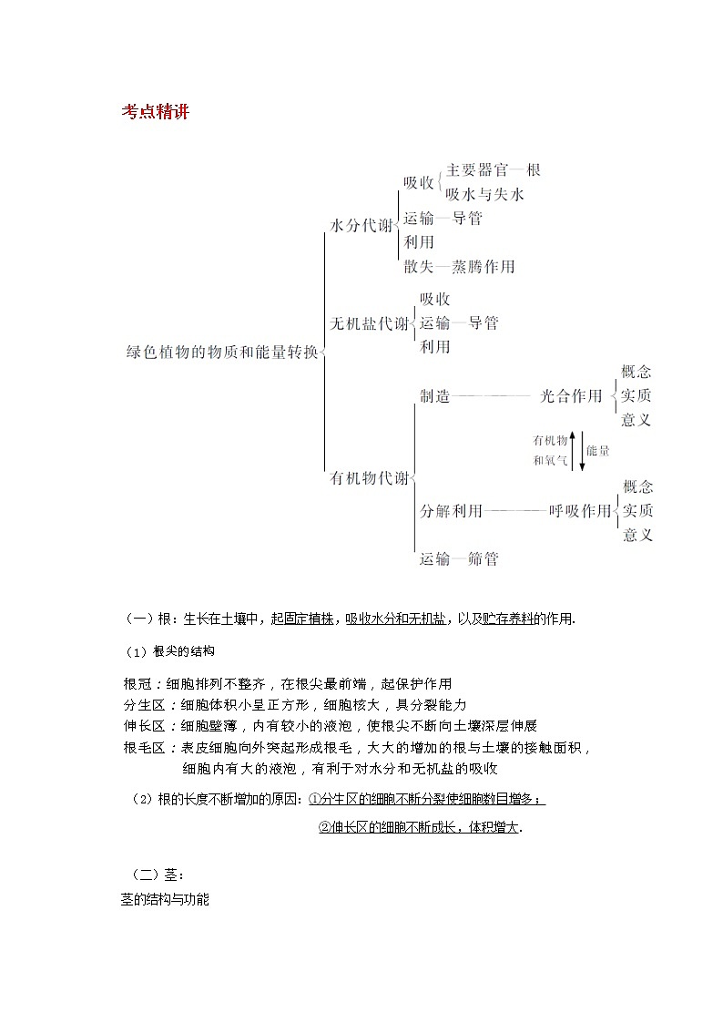 备战2023科学新中考二轮专题导练 考点02 绿色植物的新陈代谢 （解析版）第1页