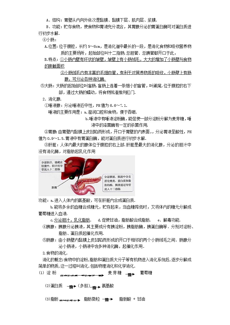 备战2023新中考二轮科学专题导练 考点03 动物的新陈代谢02