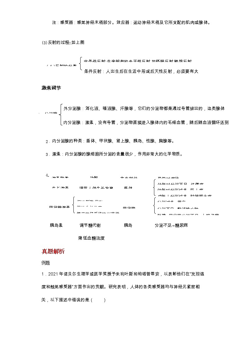 备战2023新中考二轮科学专题导练 考点04 生命活动的调节03