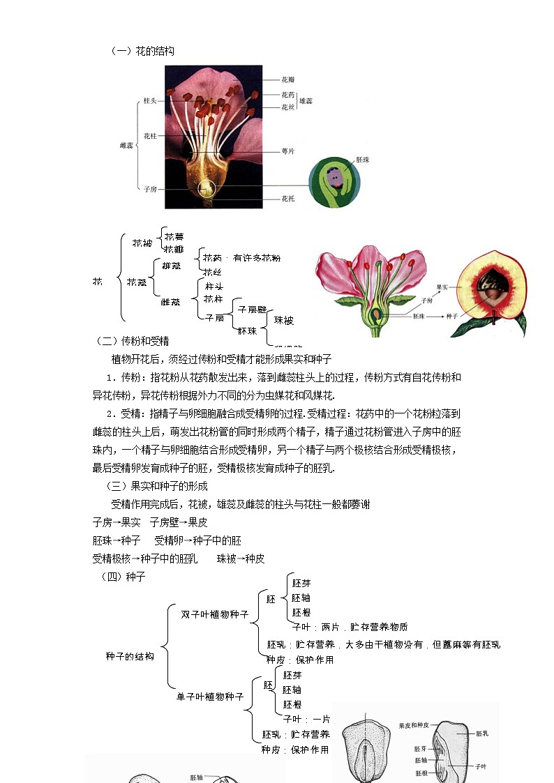 备战2023新中考二轮科学专题导练 考点05 生殖、免疫与健康02