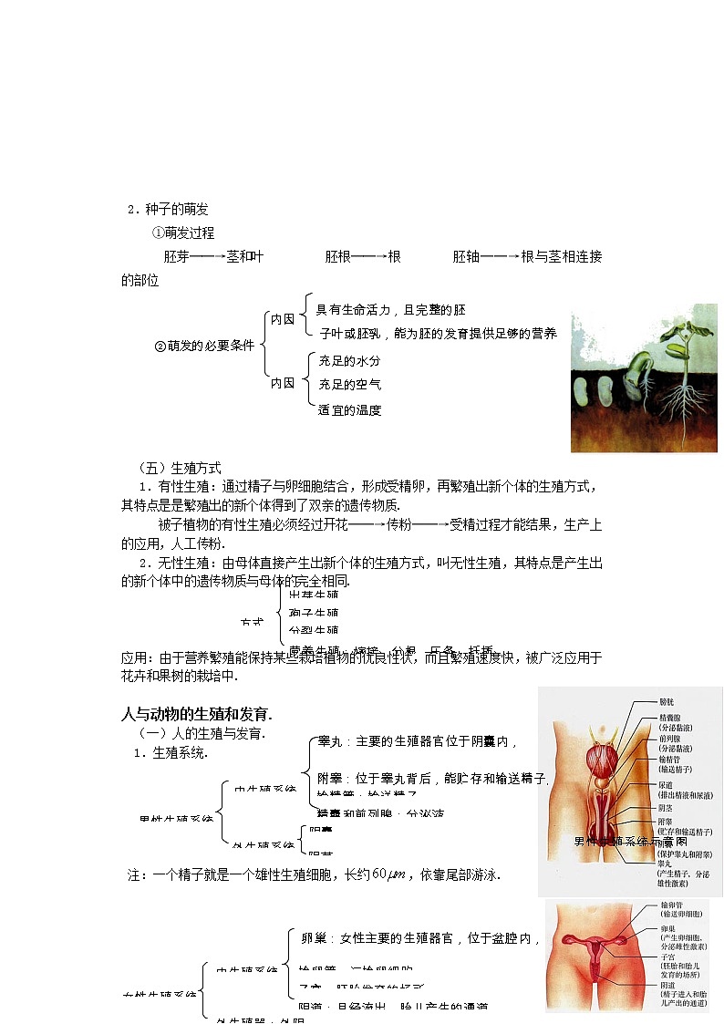 备战2023新中考二轮科学专题导练 考点05 生殖、免疫与健康03