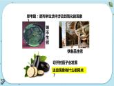 3.2《氧化与燃烧》（课件+教案+练习）