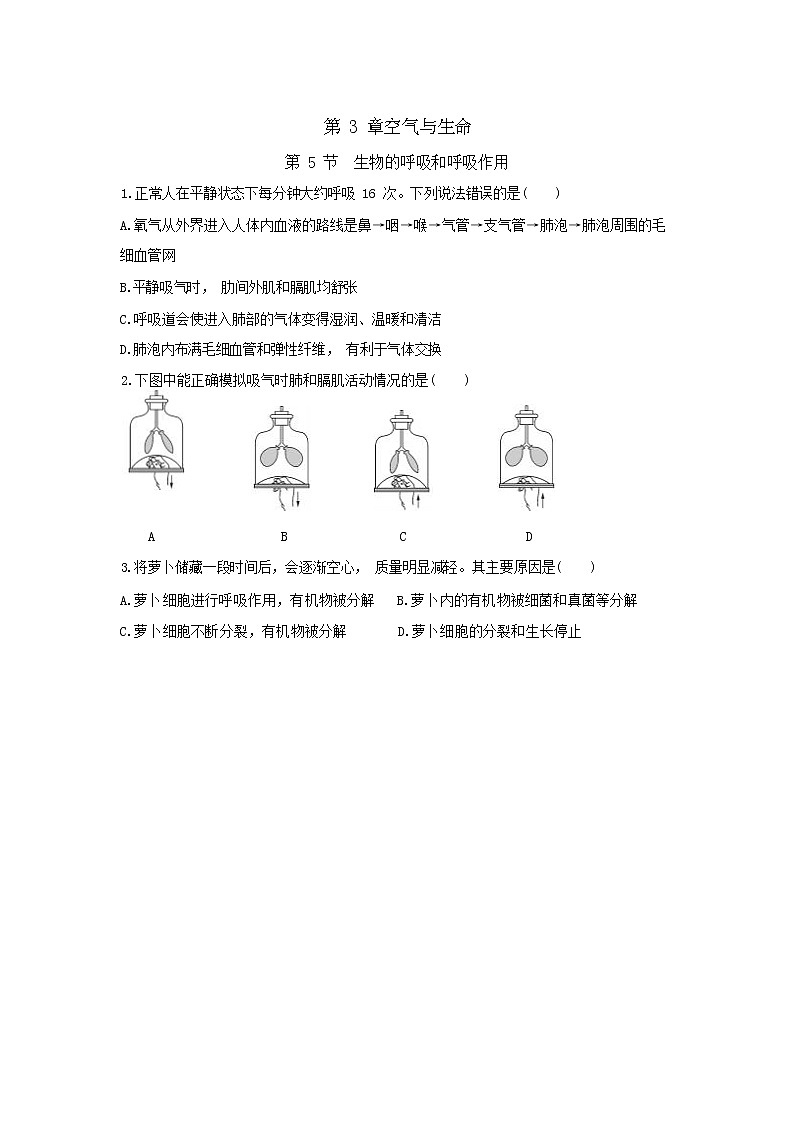 3.5《生物的呼吸和呼吸作用》课件+教案+练习01