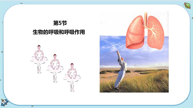 3.5《生物的呼吸和呼吸作用》课件+教案+练习02