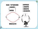 3.7《自然界中的氧循环和碳循环》课件+教案+练习