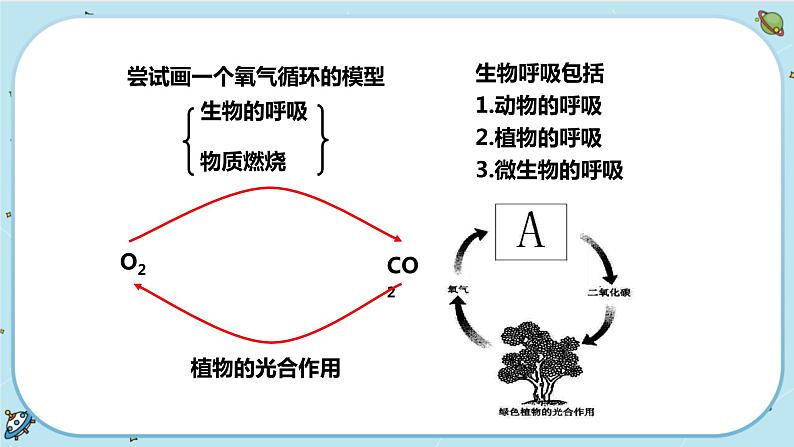 第7节  自然界中的氧循环和碳循环第4页