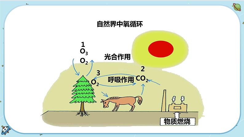 第7节  自然界中的氧循环和碳循环第5页