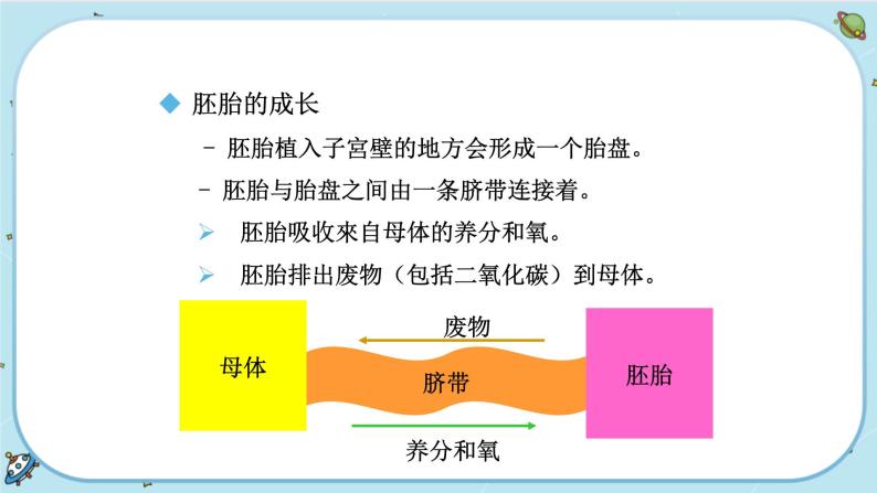 1.1 新生命的诞生（课件PPT+练习含答案）06