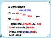 1.3 动物的生长时期（课件PPT+练习含答案）