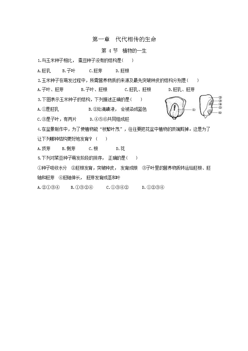 1.4 植物的一生（课件PPT+练习含答案）01
