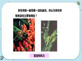 1.5 植物生殖方式的多样性（课件PPT+练习含答案）